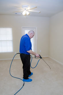 professional carpet cleaning in oakville