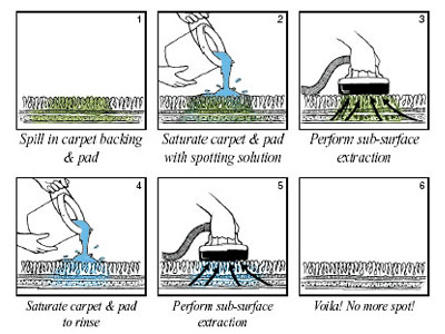 pet stain removal carpet cleaning