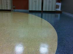 commercial tile cleaning for business in Mississauga, Oakville, Burlington and the Greater Toronto Area
