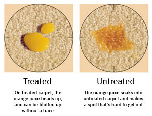 treated vs. untreated upholstered furniture
