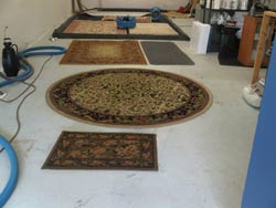 Cleaning area rugs Mississauga Oakville Burlington